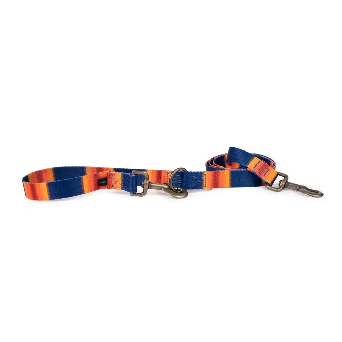 Pendleton National Park dog leash in vibrant orange and blue colors with durable clasps for outdoor activities