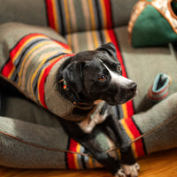 Pendleton Vintage Camp Dog Coat