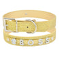 Purrfect Pet Kingdom Personalized Pet Collar - Sparkling Blue L Gold Purrfect Pet Kingdom