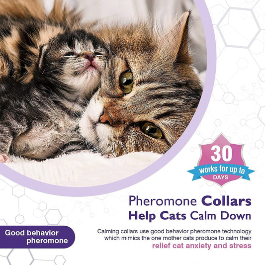 Pet Calm Collar Cat Comfort Collar Relieve Anxiety - Purrfect Pet Kingdom