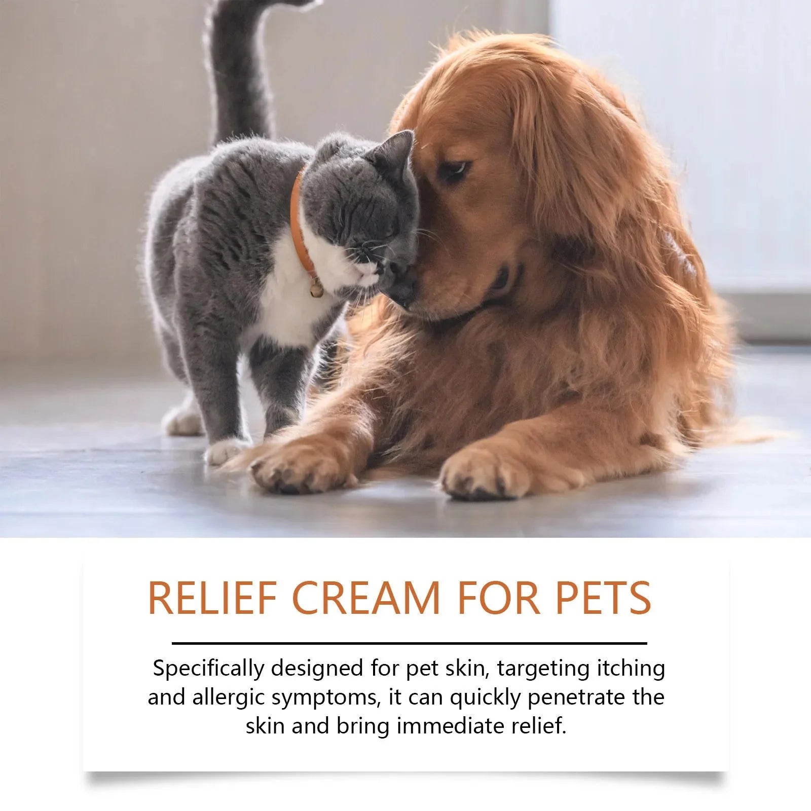 Purrfect Pet Kingdom dog and cat anti itch ointment in use on a dog and cat for effective allergy relief