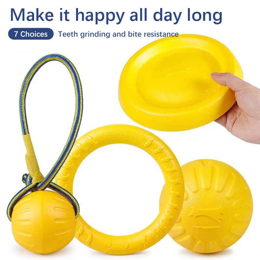 Bright yellow Tail Chasers pet chew toy for water play set including ring, disc, and ball