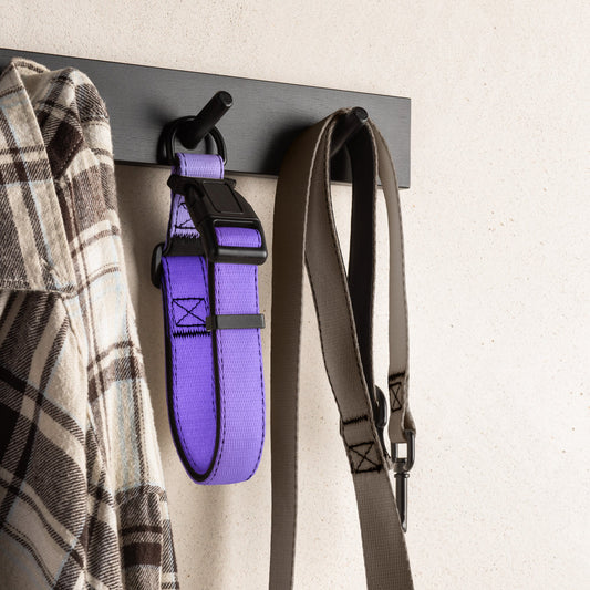 CalmCaressASMR Pet Collar