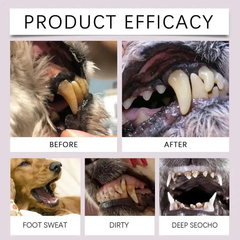 Purrfect Pet Kingdom pet dental care pen demonstrating before and after results on dog teeth