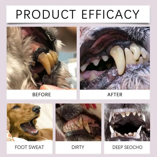 Purrfect Pet Kingdom pet dental care pen demonstrating before and after results on dog teeth
