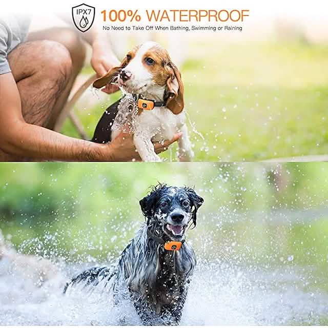 Pet Dog Shock Collar with Remote