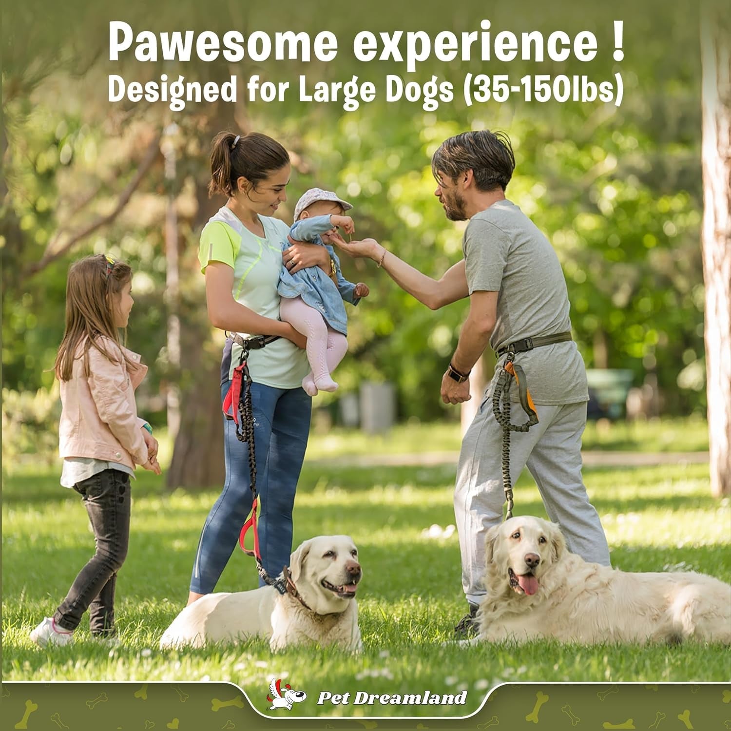 Pawtastic outdoor scene of a family using a no pull dog leash with waist belt for large dogs