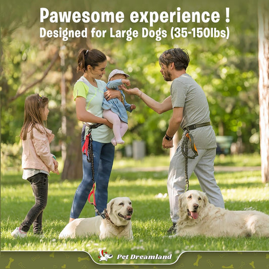 Pawtastic outdoor scene of a family using a no pull dog leash with waist belt for large dogs