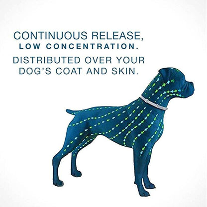Illustration of flea and tick collar for pets with continuous release distributing low concentration over dog's coat and skin