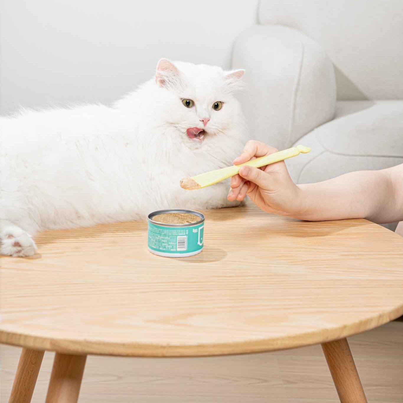 A person feeding a fluffy white cat with a pet food can spoon next to an opened can on a wooden table