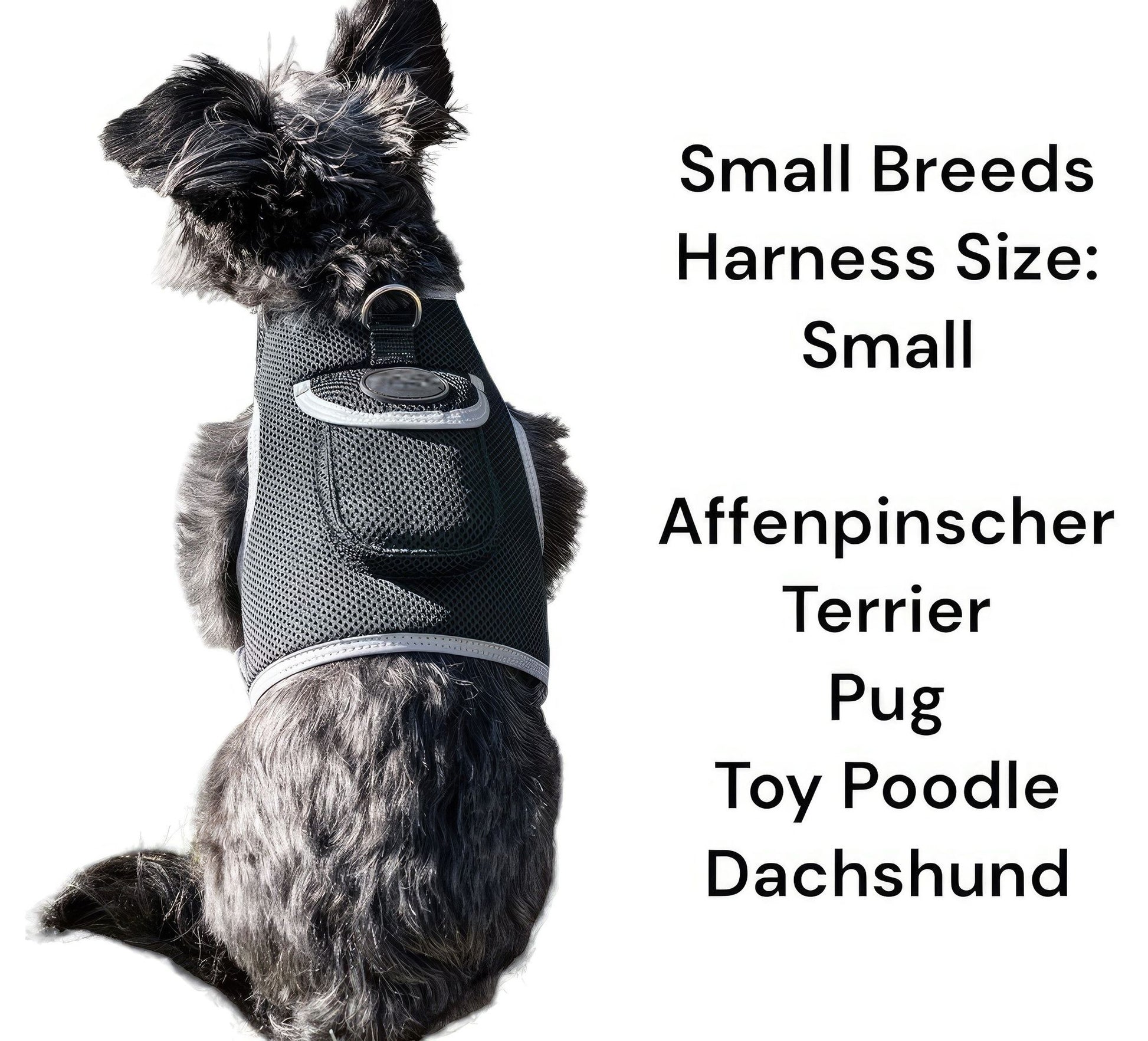 Purrfect Pet Kingdom Pet GPS Collar for Dogs and Cats Purrfect Pet Kingdom