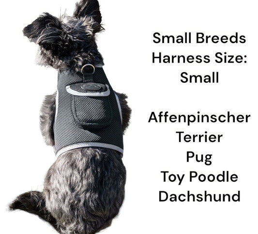 Purrfect Pet Kingdom Pet GPS Collar for Dogs and Cats Purrfect Pet Kingdom