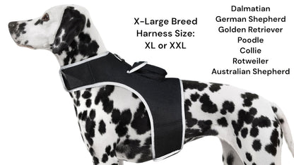 Purrfect Pet Kingdom Pet GPS Tracker for Dogs Collar Purrfect Pet Kingdom
