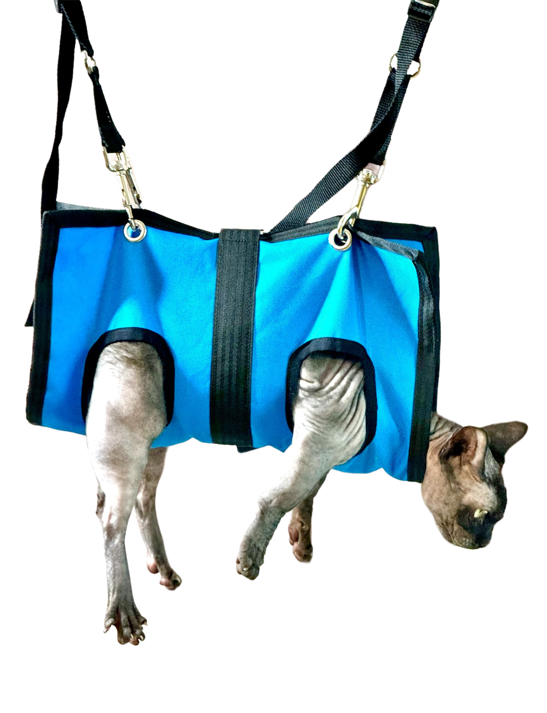ReNewedPet pet grooming hammock for easy bathing with blue fabric and secure straps for safe pet grooming