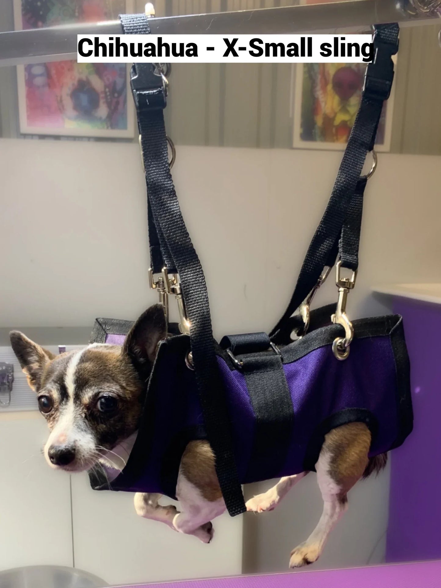 ReNewedPet pet grooming hammock for easy bathing, designed for X-Small Chihuahuas, providing secure support