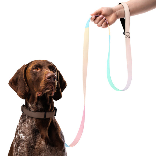 CalmCaressASMR Pet leash