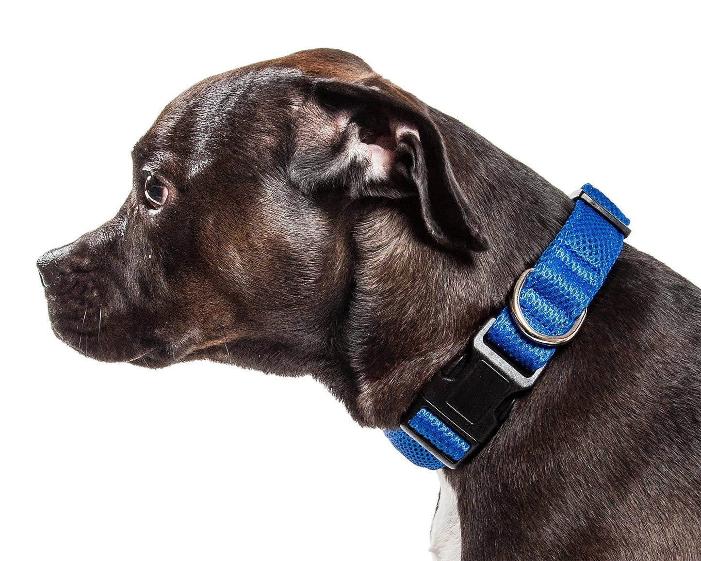 Pet Life - Aero Mesh Dual-Sided Breathable Adjustable Dog Collar Size - Collars, Harnesses and Leashes