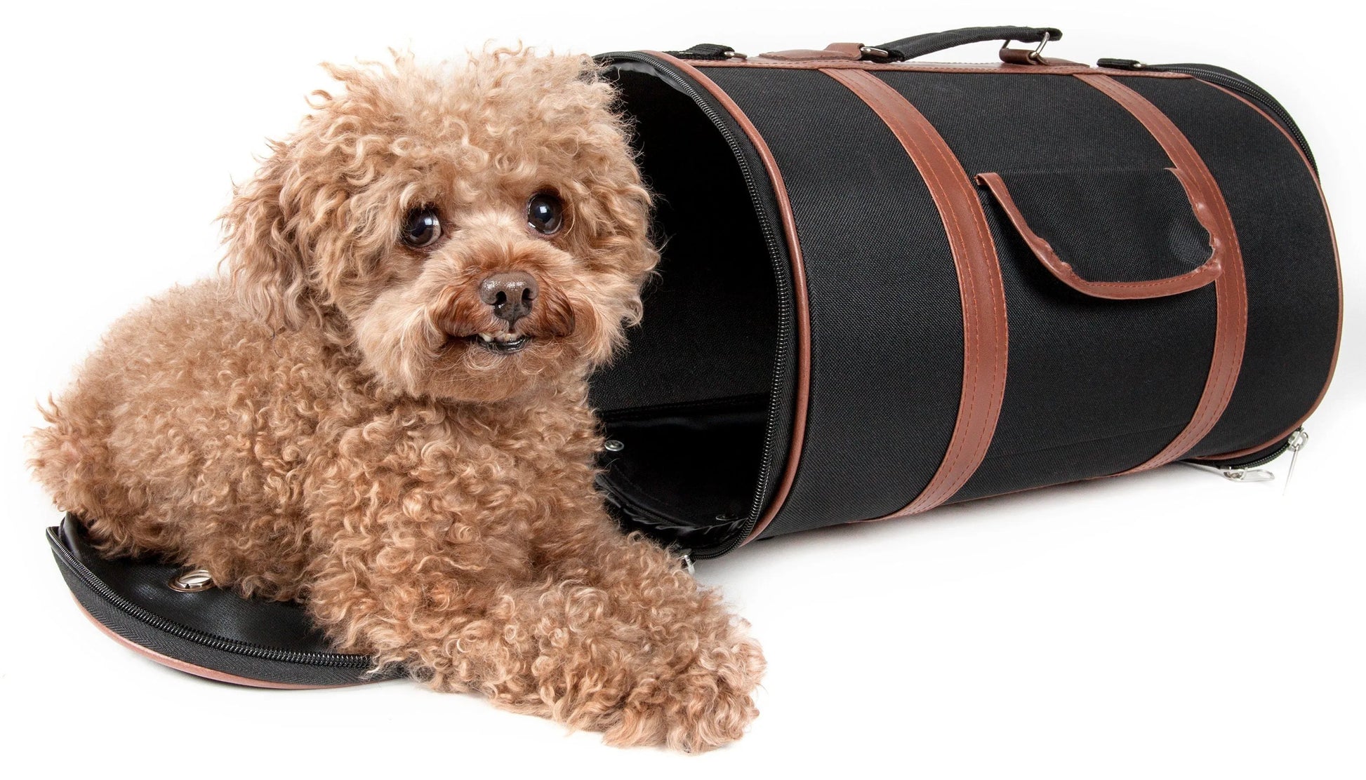 Pet Life ® 'Bark Avenue' Cylindrical Airline Approved Dog Carrier in stylish design, perfect for travel with your pet.