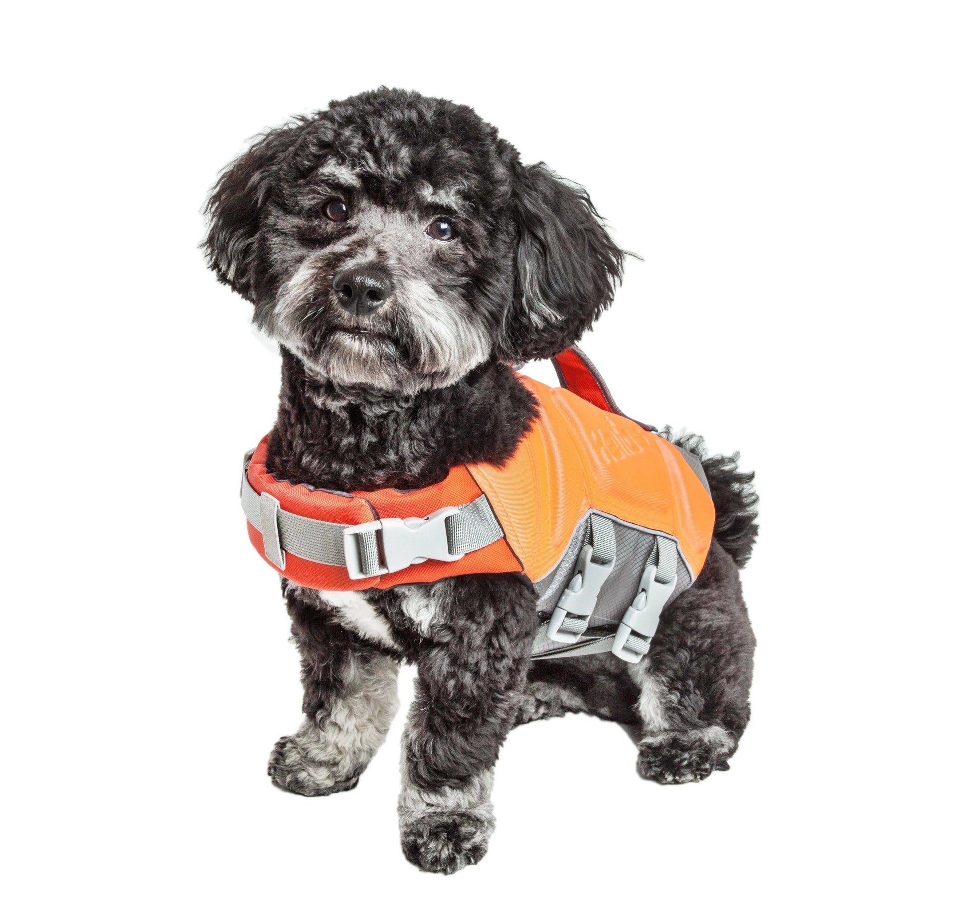 Pet Life - Dog Helios ® 'Tidal Guard' Multi-Point - Safety
