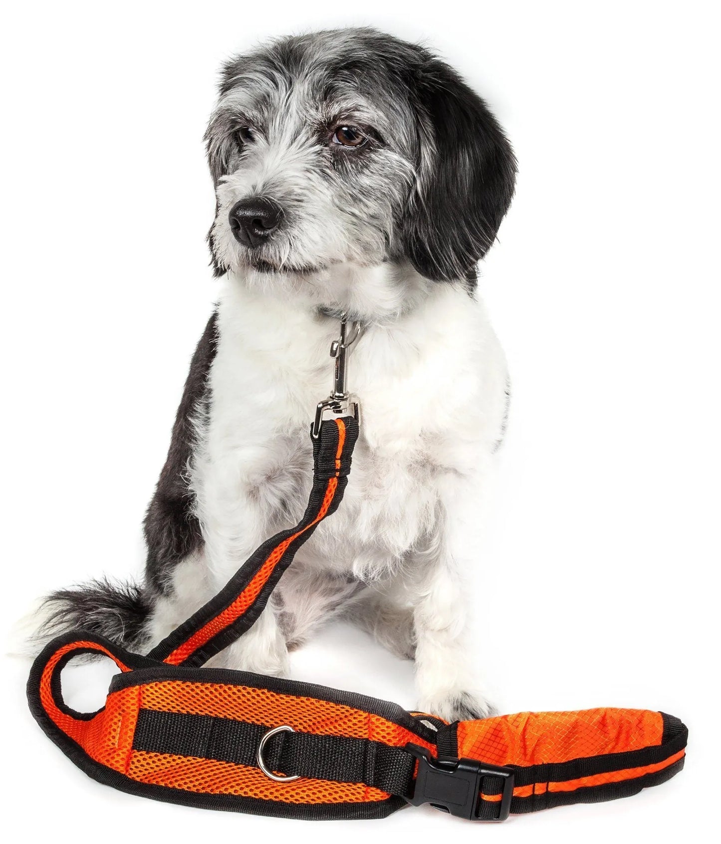 Purrfect Pet Kingdom® Echelon 2-in-1 Hands-Free Dog Leash and Utility Belt in blue, perfect for active dog owners seeking convenience a...