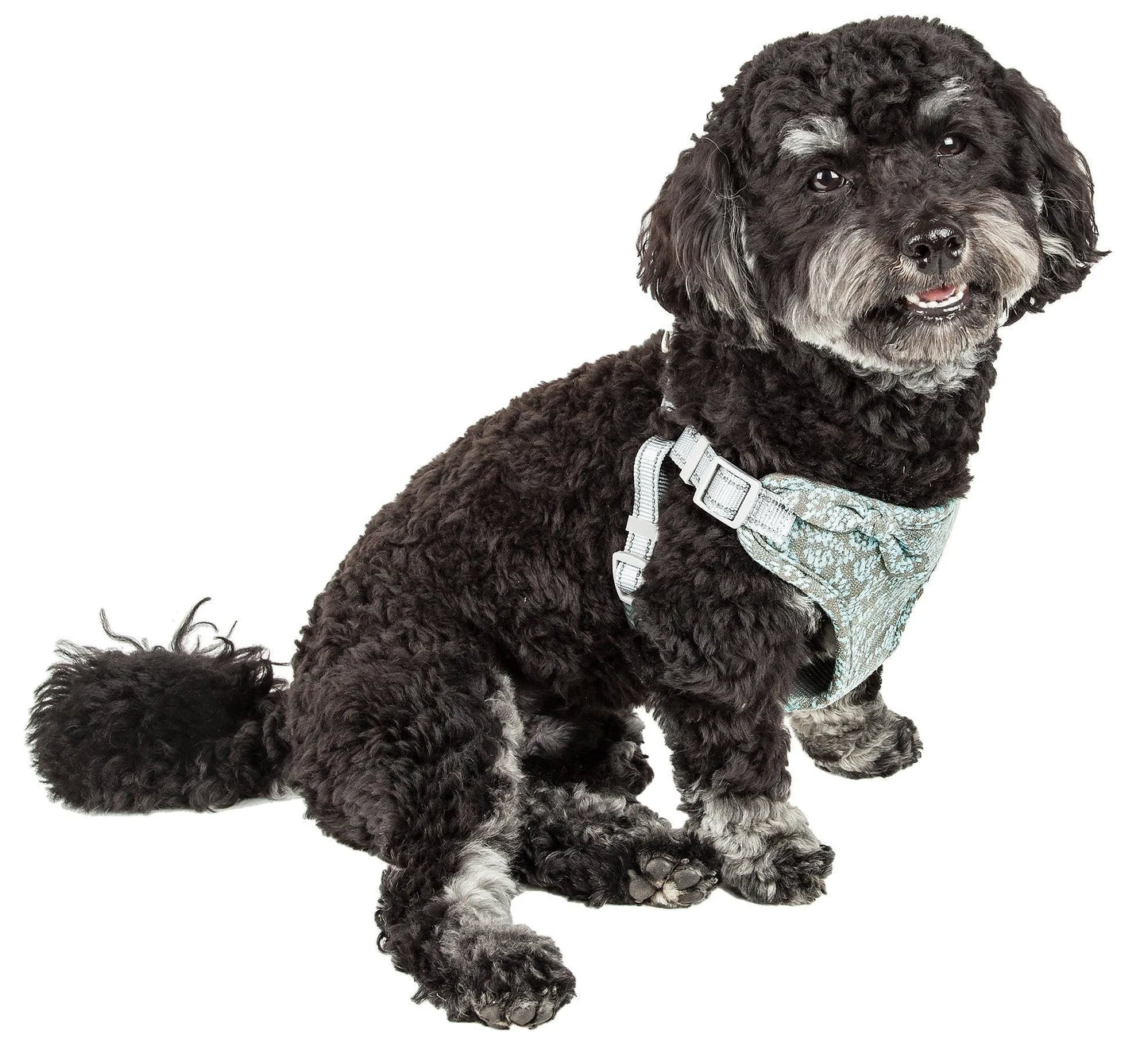 Blue Purrfect Pet Kingdom® Fidomite Breathable Mesh Adjustable Dog Harness in X-Small, perfect for small dogs, featuring a comfortable ...