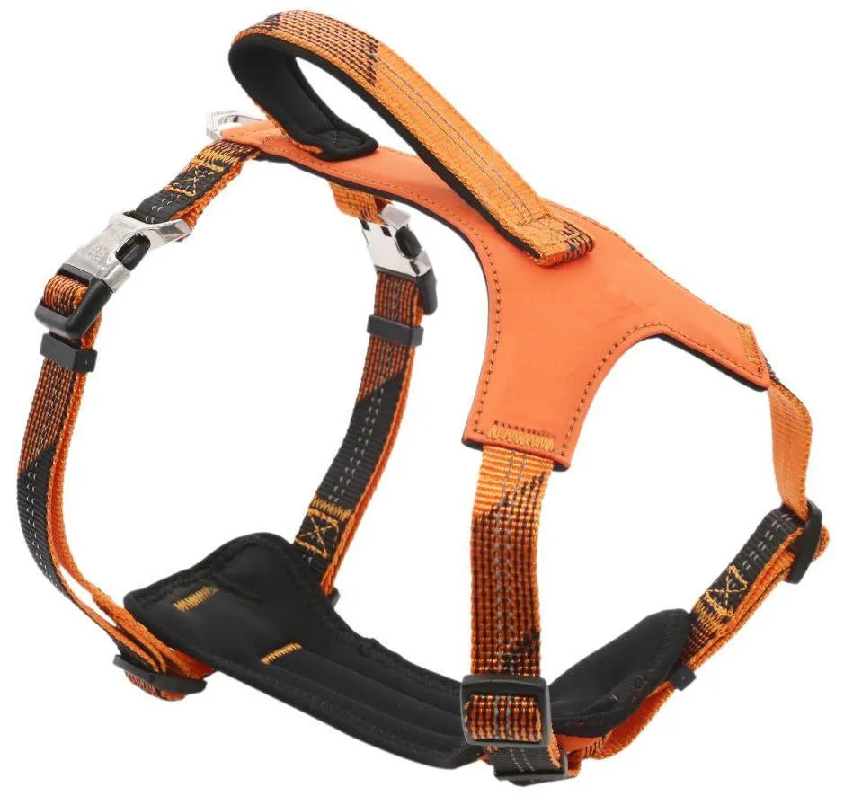 Pet Life ® 'Geo-prene' 2-in-1 reflective dog leash and harness in orange, available in small, medium, and large sizes.