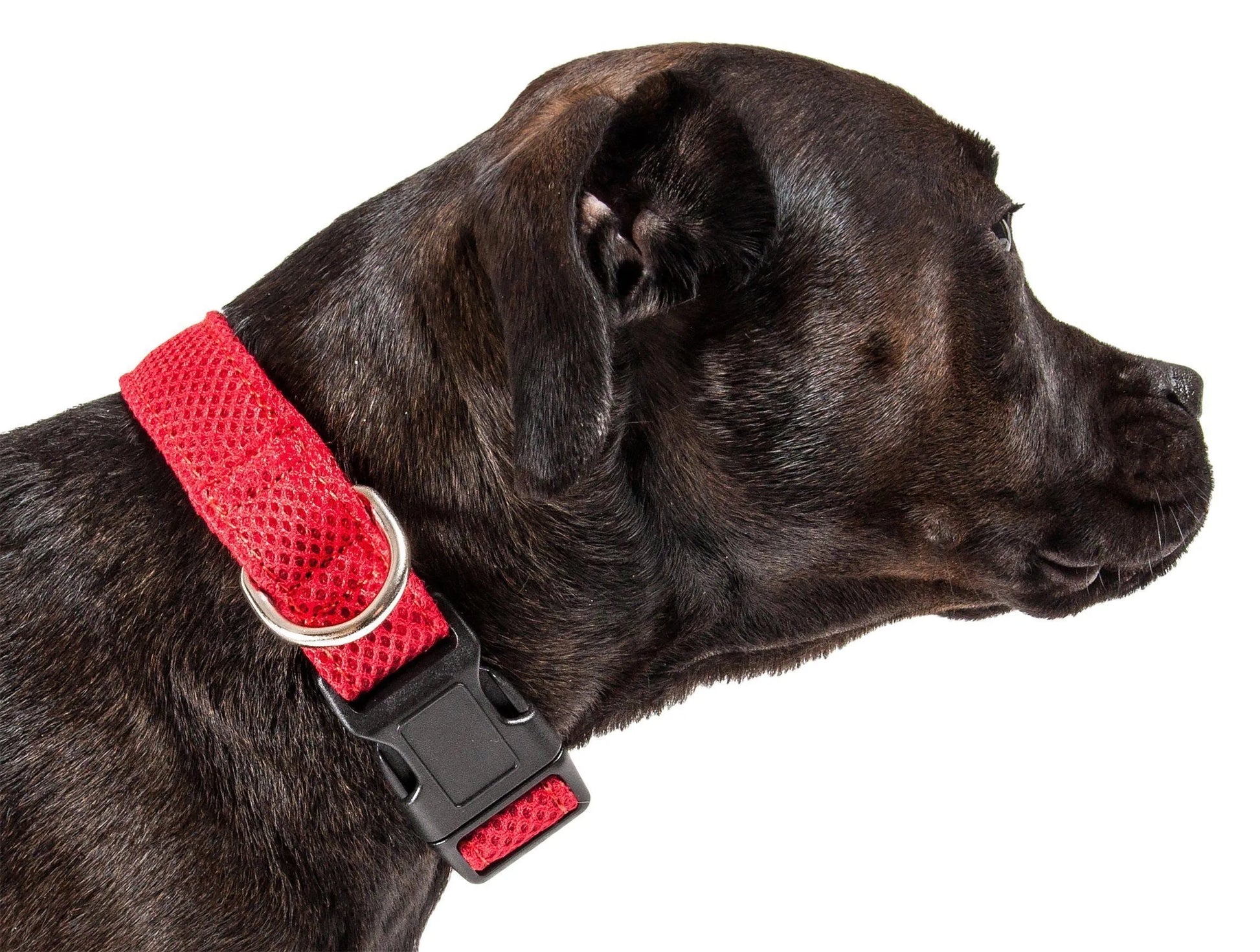 Pet Life - Pet Life Aero Mesh Dual-Sided Breathable Adjustable Collar - Collars, Harnesses and Leashes