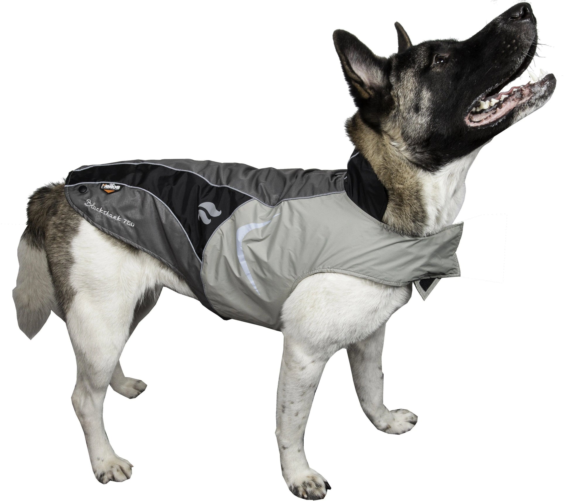Pet Life - Purrfect Pet Kingdom Dog Helios ® Lotus-Rusher 2-in-1 Dual-Removable Layered Performance Dog Jacket - Apparel