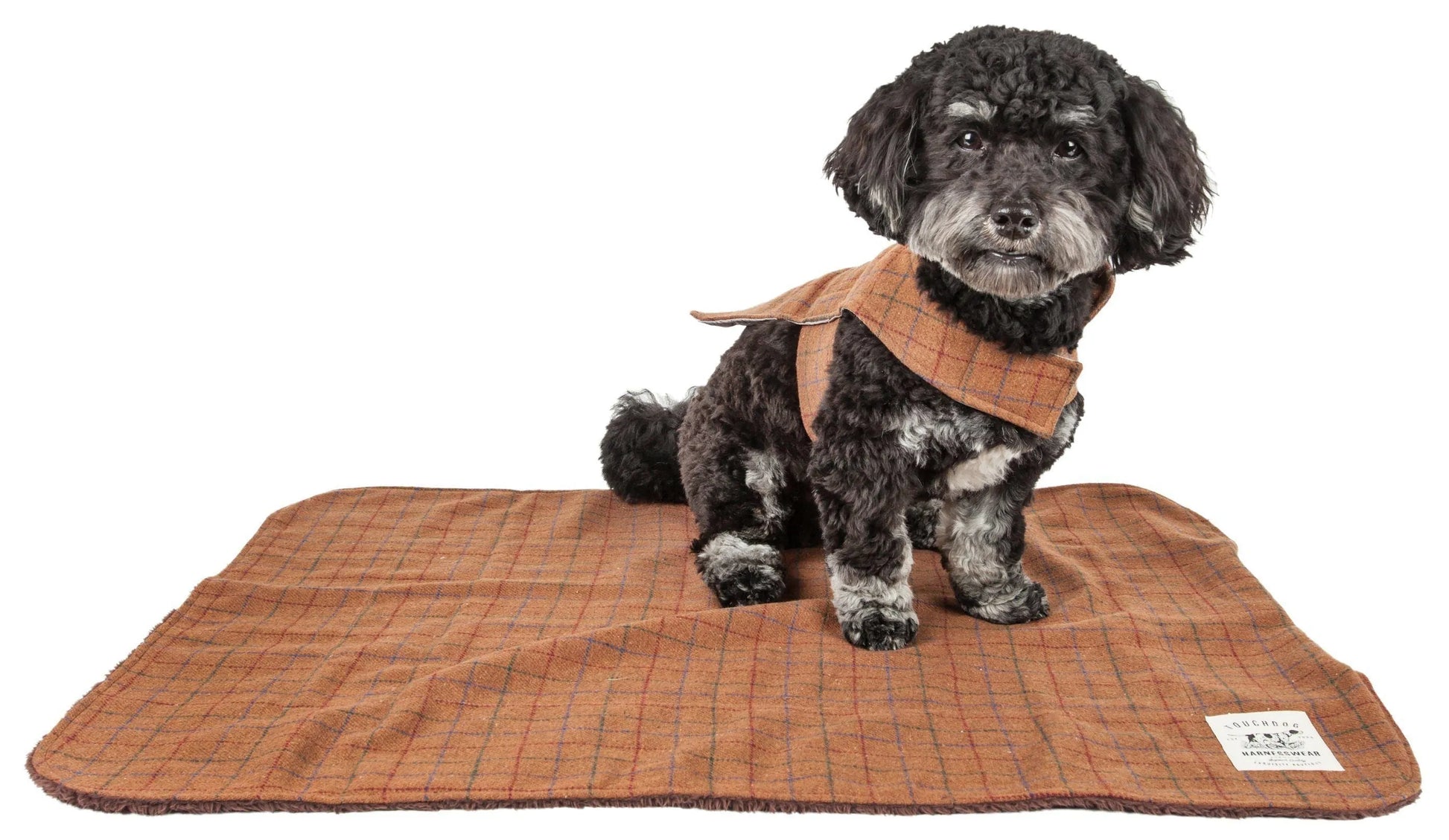 Pet Life - Purrfect Pet Kingdom Touchdog ® 2-In-1 Windowpane Plaid Dog Jacket and Matching Reversible Dog Mat - Apparel