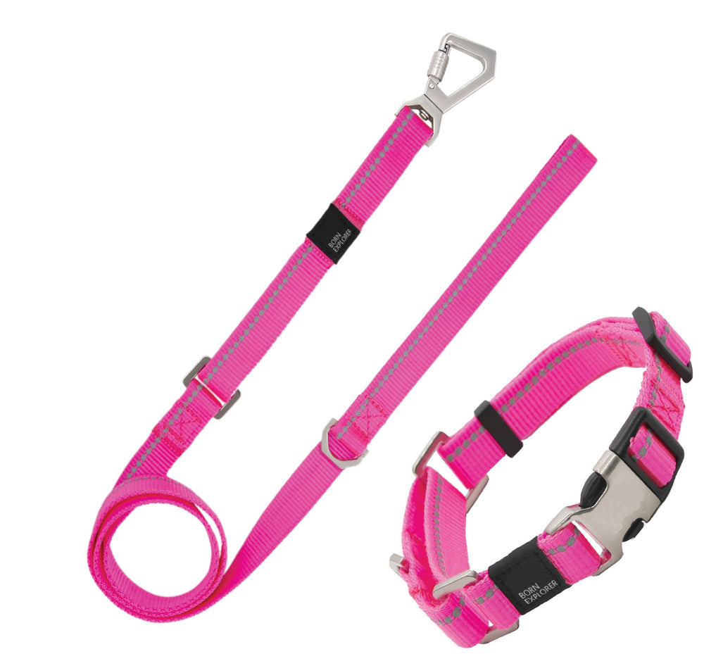 Pet Life ® 'Advent' Outdoor Series 3M Reflective 2-in-1 Durable Martingale Training Dog Leash and Collar