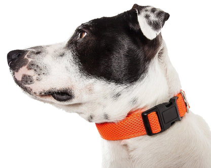 Aero Mesh Dual-Sided Breathable Adjustable Dog Collar Size