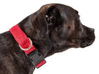 Pet Life ®  'Aero Mesh' Dual-Sided Breathable and Adjustable