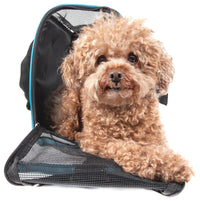 Pet Life ® 'Altitude Force' Airline Approved Sporty Zippered Folding Fashion Pet Dog Carrier