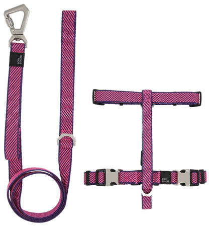 Escapade 2-in-1 Convertible Outdoor Harness for Dogs Small
