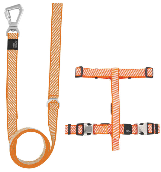 Pet Life ® 'Escapade' Outdoor Series 2-in-1 Convertible Dog Leash and Harness