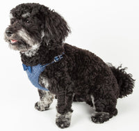 Pet Life ®  'Flam-Bowyant' Mesh Reversed and Adjustable Dog Harness