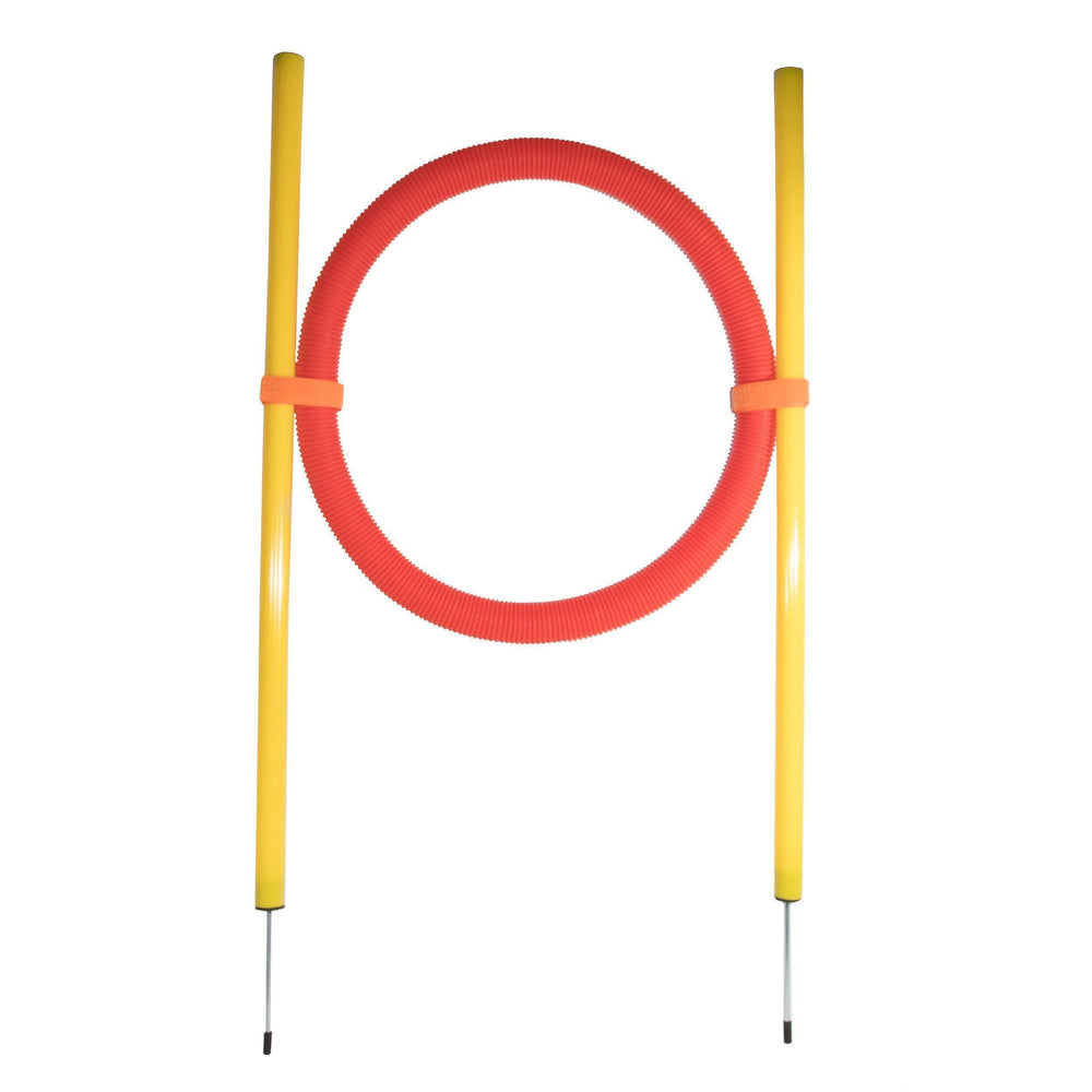 Pet Life ® 'Hoop Hopper' Collapsible Travel Folding Outdoor