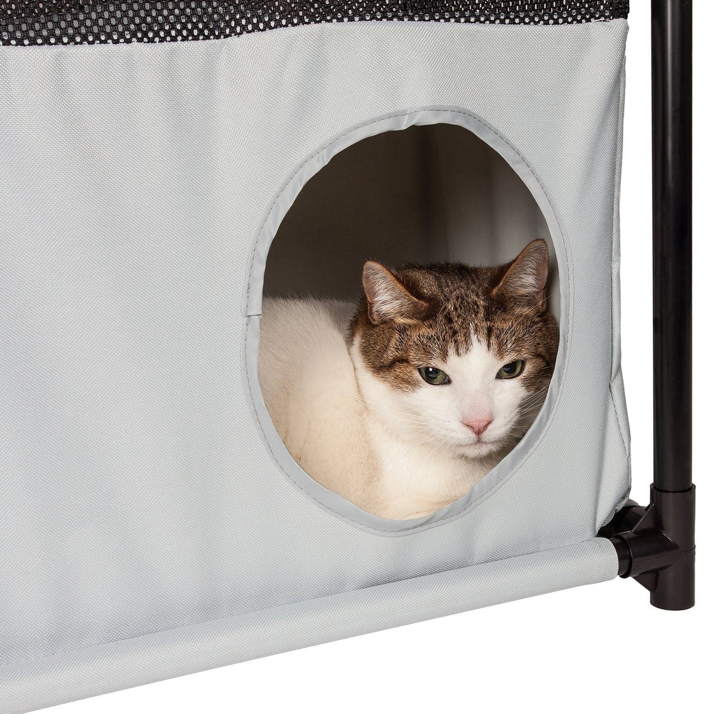 Pet Life ® 'Kitty-Square' Collapsible Travel Interactive Kitty Cat Tree Maze House Lounger Tunnel Lounge