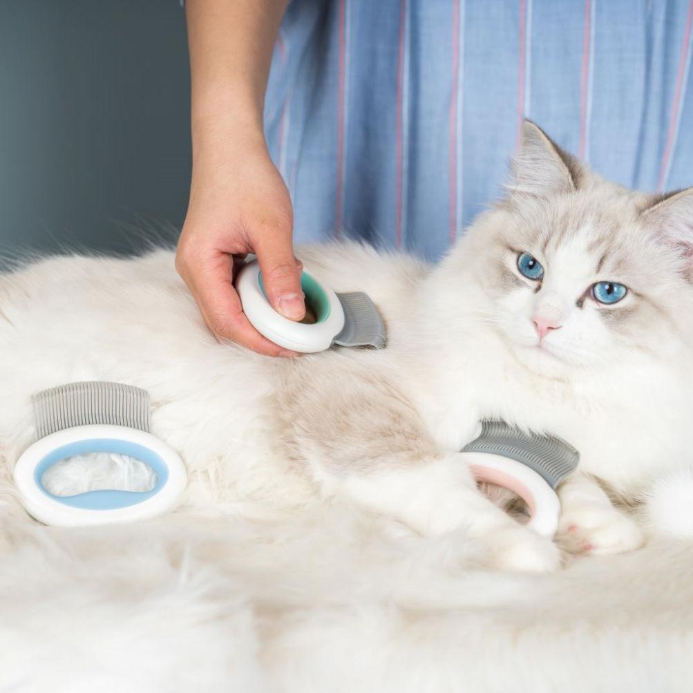 Pet Life ® 'Knuckler' Handheld Travel Flexible Grooming Pet Rake Comb