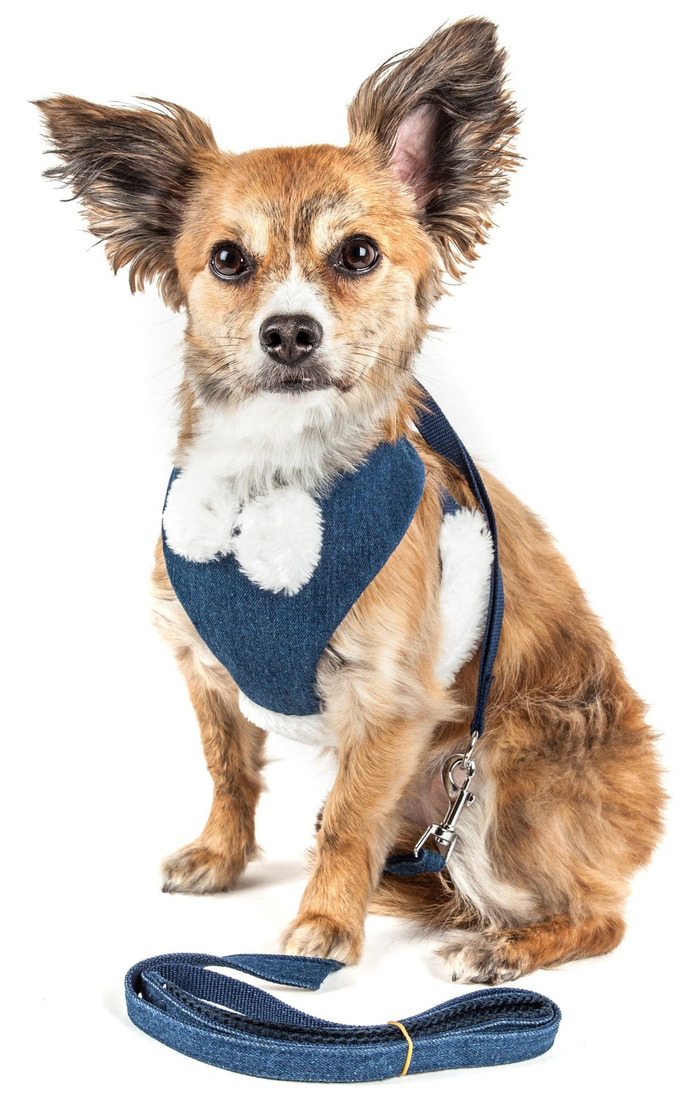 Pet Life ® Luxe 'Pom Draper' 2-In-1 Adjustable Fashion Dog