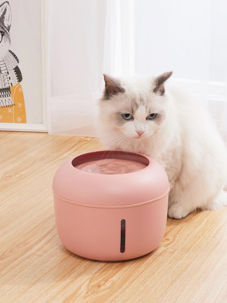 Pet Water Fountain Ultra-Quiet Filtered Cat Dog Waterer 🐾