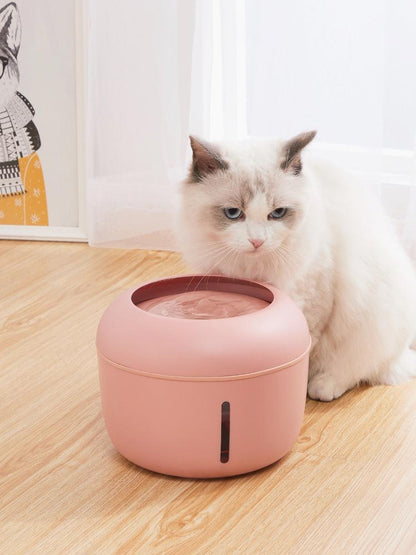 Pink plastic rounded water fountain with a viewing window and a white cat on a light wood floor.
