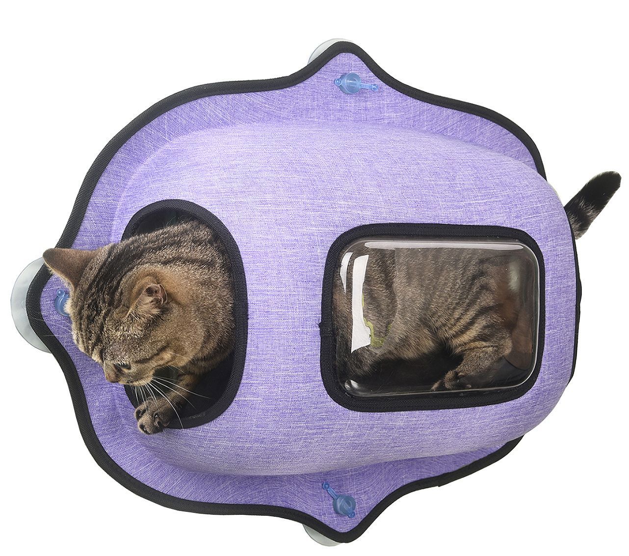 Purr-View Clear Window Cat Lounger with Heavy Duty Suction Cup