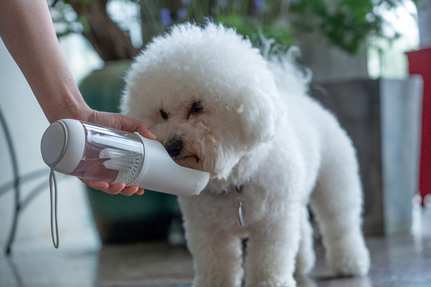 Portable Dog Water Bottle Handheld Travel Filtered Feeder 🐾
