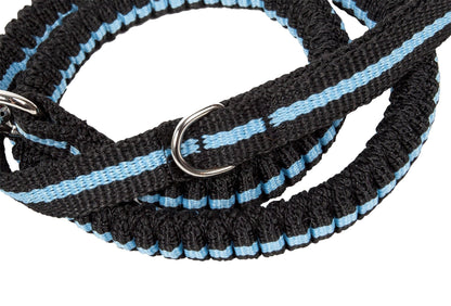 Pet Life black and blue striped shock-absorbing dog leash with durable stitched nylon and a metal D-ring.