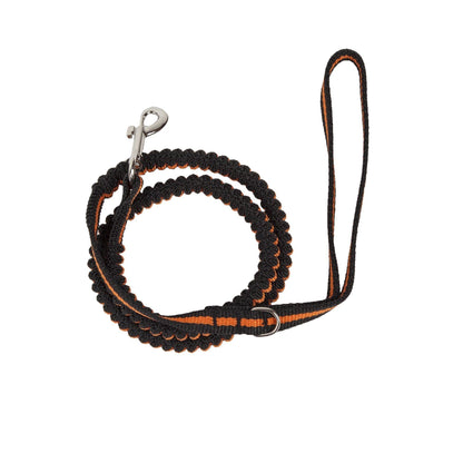Pet Life black and orange shock-absorbing dog leash with accordion nylon webbing and metal swivel hook.