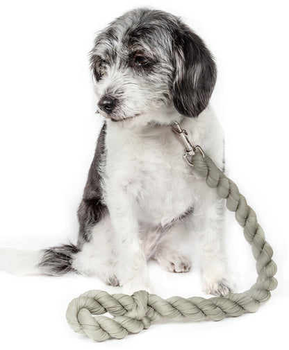 Grey braided Pet Life Tough-Tugger rope leash on a dog. Industrial-strength design with a silver metal clasp.