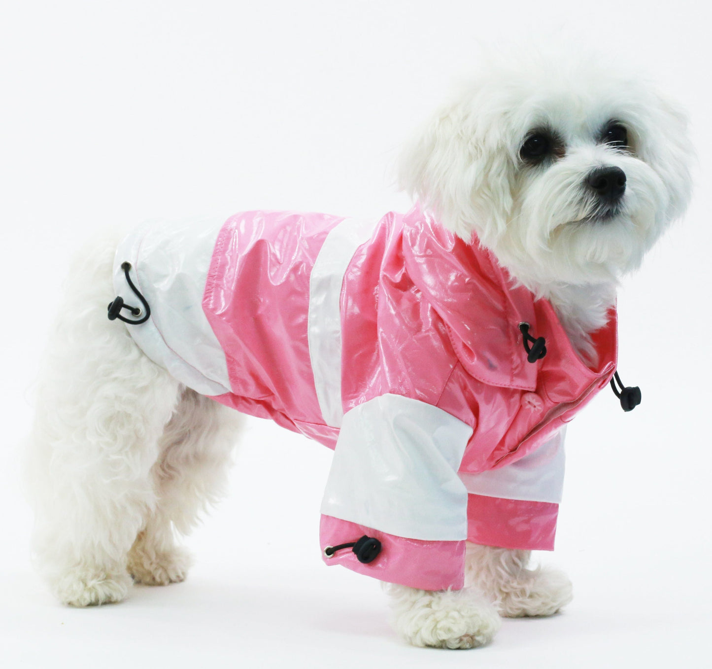 Dog Raincoat Waterproof Two-Tone Adjustable 0.35 Lbs Pet Life 🌧️