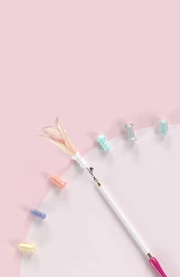 Pet Life ® 'Wander-cat' Customizeable and Extendable 10-in-1