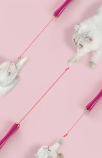Pet Life ® 'Wander-cat' Customizeable and Extendable 10-in-1